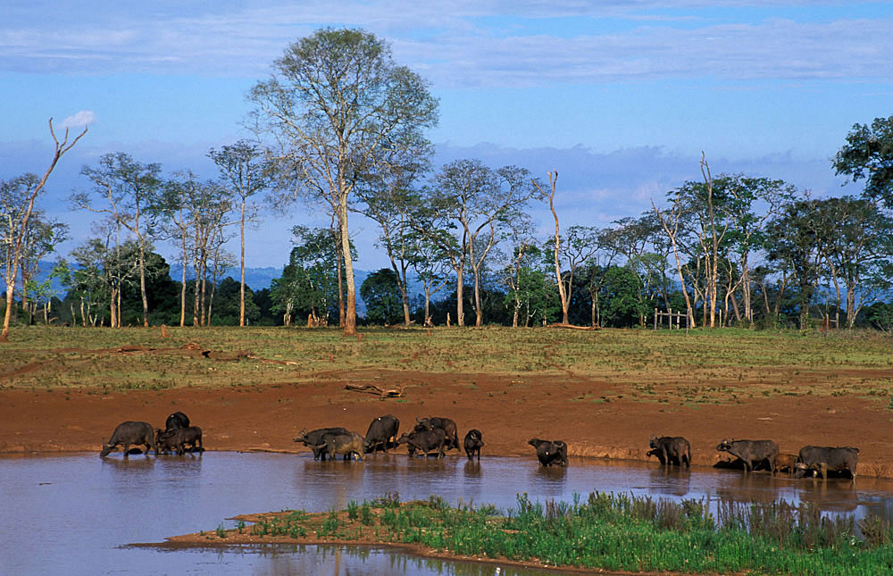 Thế giới Châu Phi thu nhỏ - Kenya