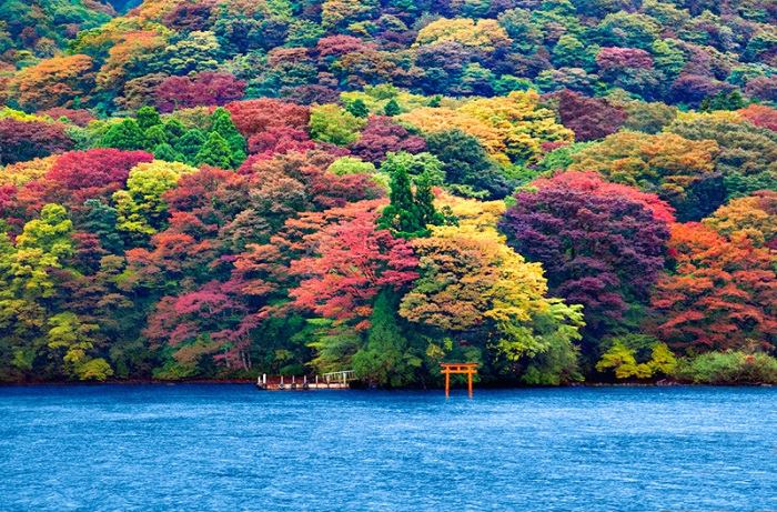 Vẻ đẹp hồ Ashi trên miệng núi lửa ở Hakone, Nhật Bản