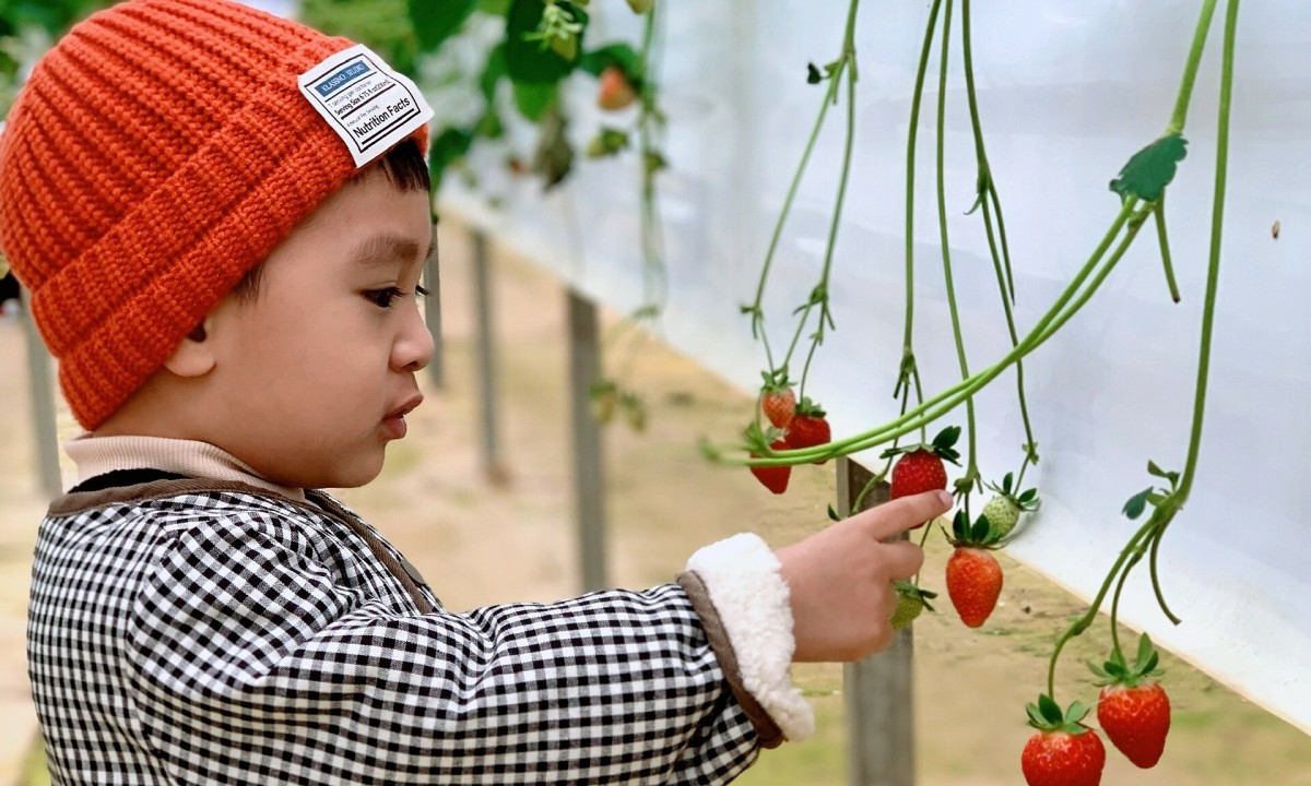 5 cách phòng bệnh tiêu hóa cho trẻ dịp Tết