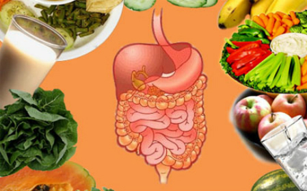 Ăn Tết thế nào không rối loạn tiêu hóa