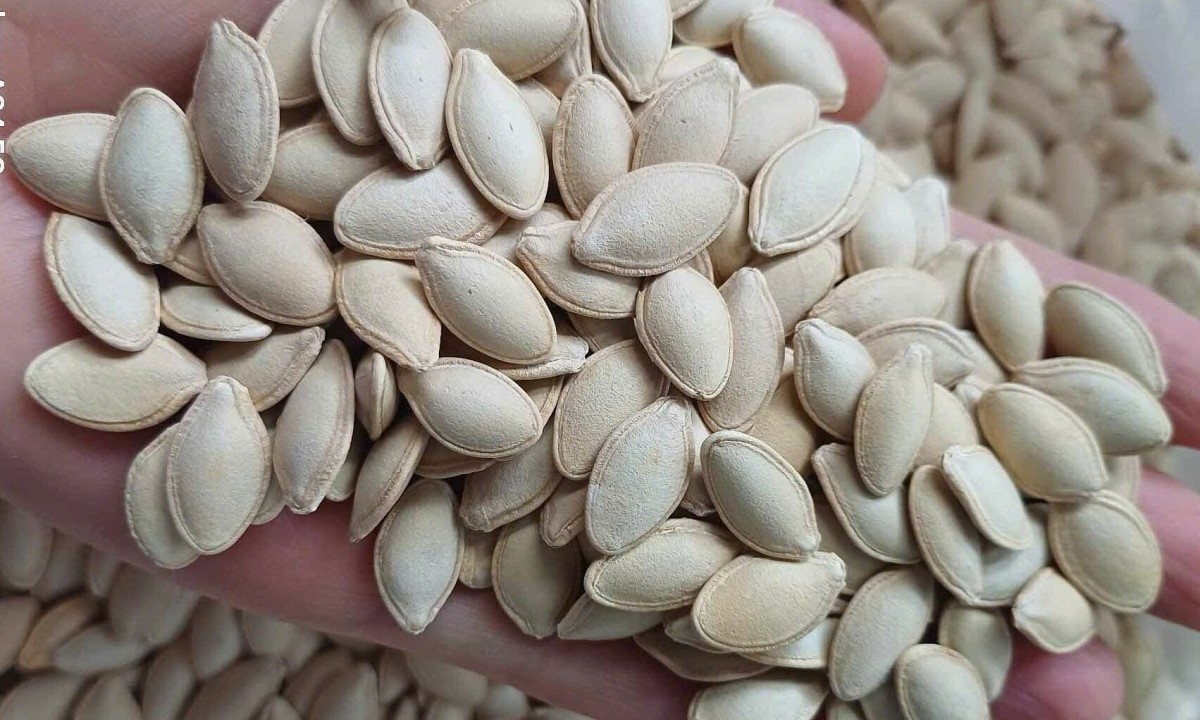 Các loại hạt ngày Tết tốt cho sức khỏe sinh sản