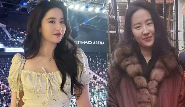 Nhan sắc 'cam thường' của Lưu Diệc Phi