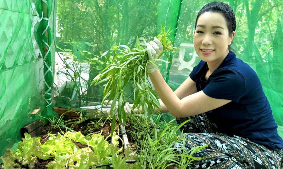 Trịnh Kim Chi khoe vườn rau sạch ở biệt thự 200 m2