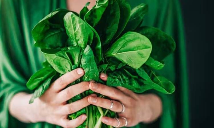 Điều gì xảy ra khi tiêu thụ rau bina hàng ngày?