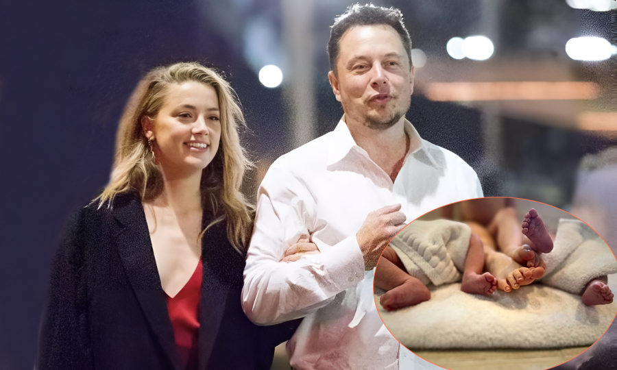 Lý do Elon Musk bị nghi là cha của các con Amber Heard
