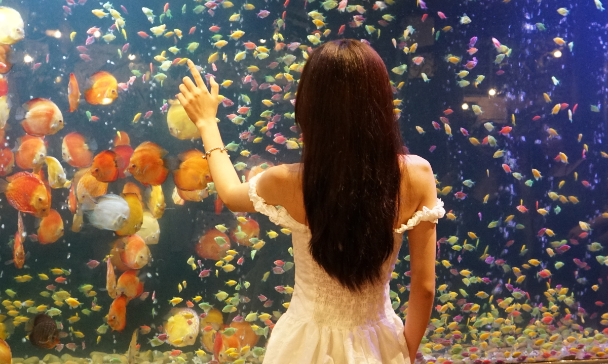 Quán cà phê trang trí bể cá, được ví như 'thủy cung' ở TP HCM