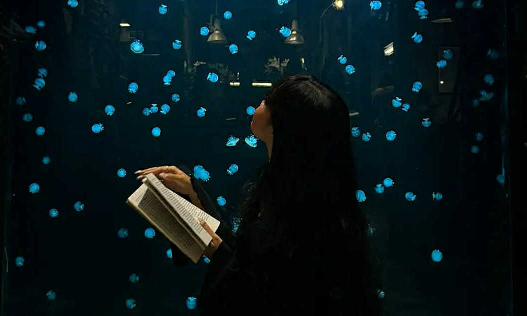 Xếp hàng cả tiếng chờ check-in với sứa ở TP HCM