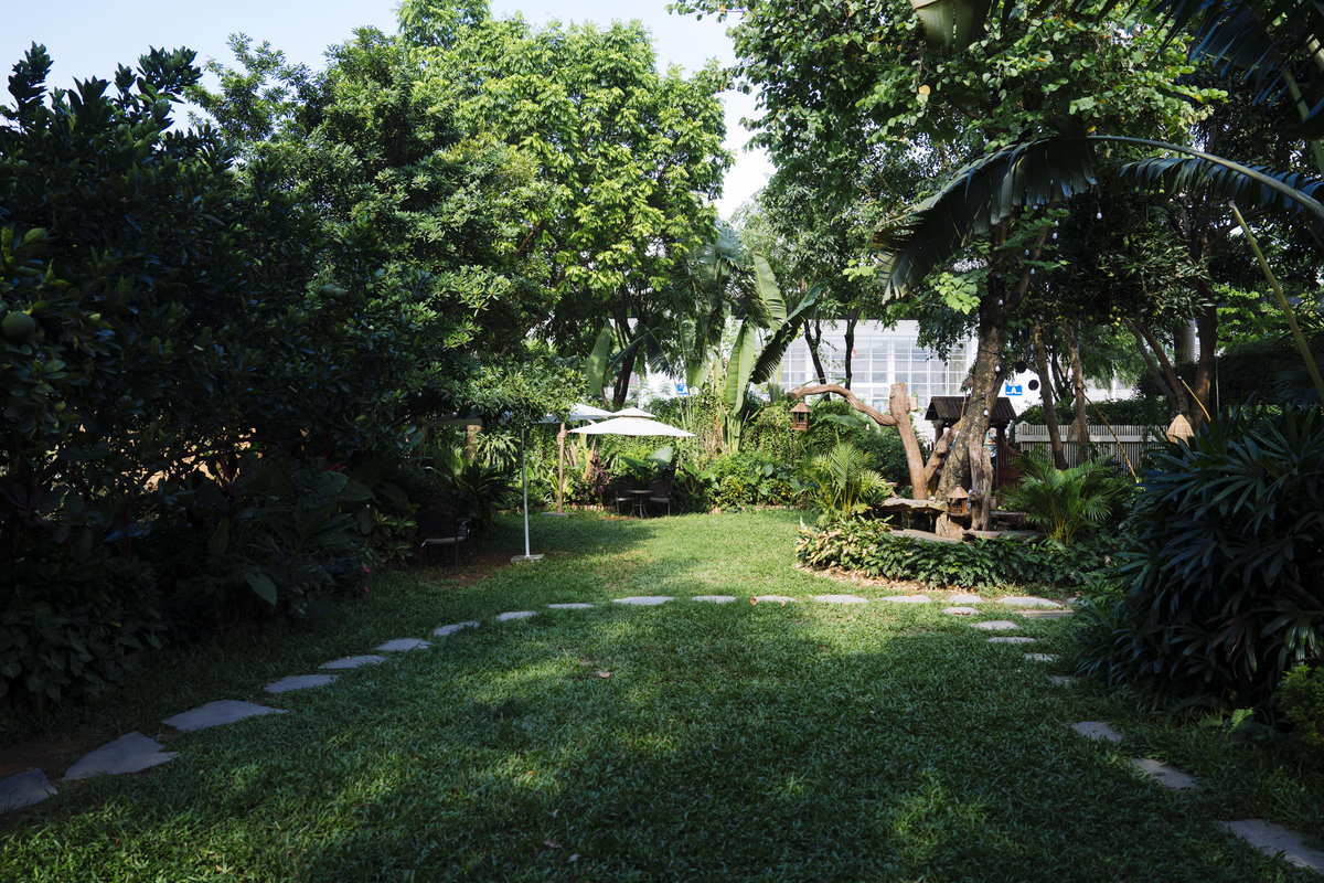 Quán cà phê 1.600 m2 như ốc đảo xanh mướt ở Hà Nội