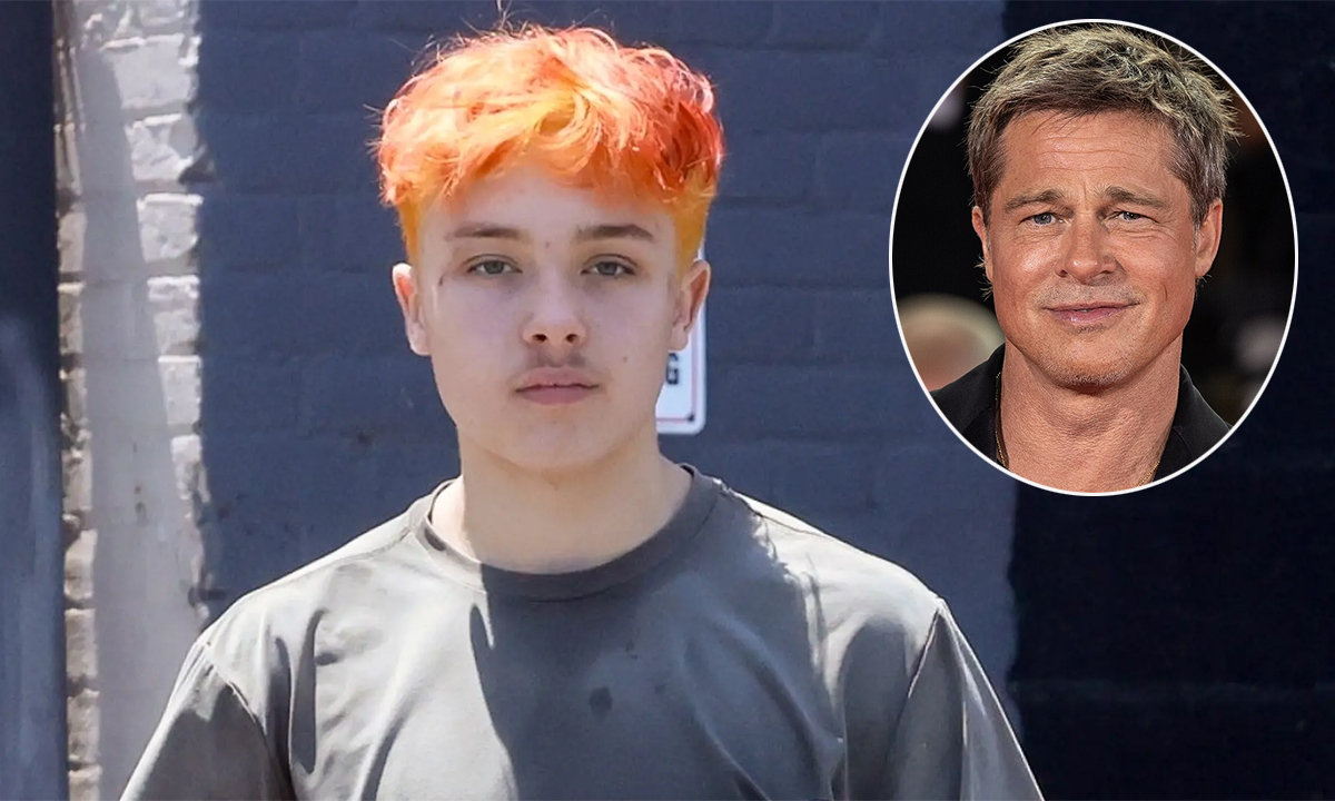 Thêm một người con ruột của Brad Pitt từ bỏ họ bố